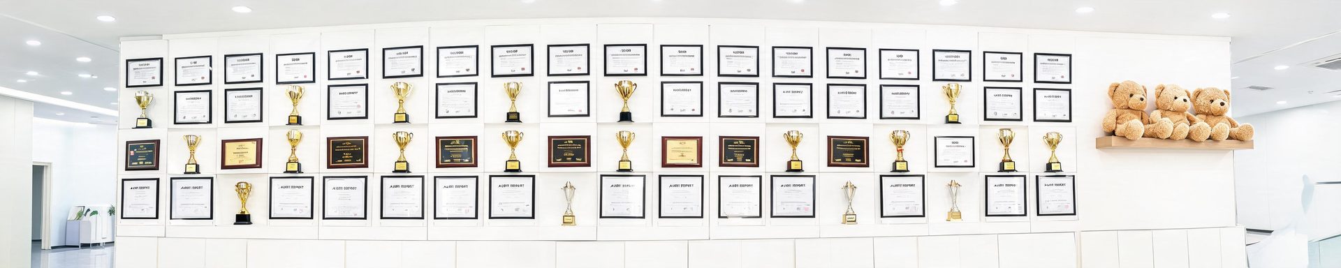 Certificate and trophy display wall of Dixin Toy