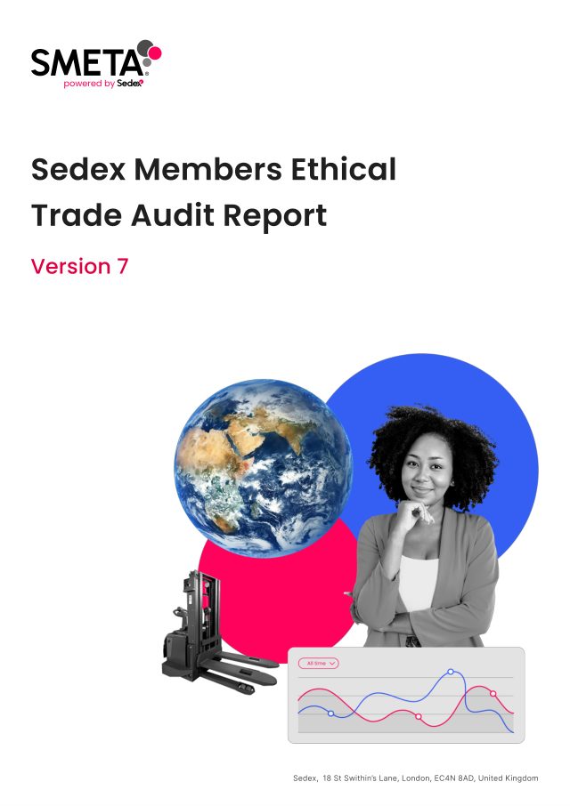 Sedex 4P Audit Report — Yangzhou Dixin